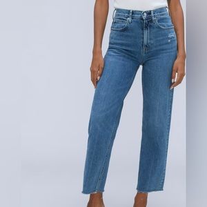 Everlane The Way-High Jean in Distressed